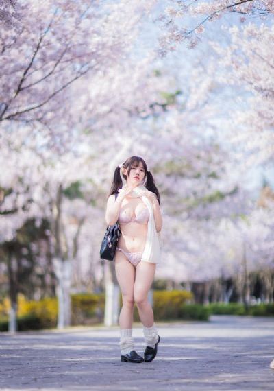魔法少女小圆动漫_高清免费全集观看