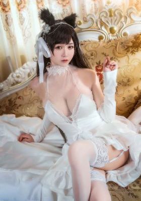 凤御九龙_90集免费观看